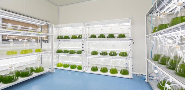 市政公用工程施工總承包資質